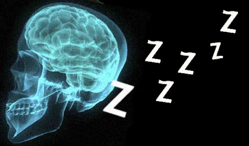 cerebro-dormindo