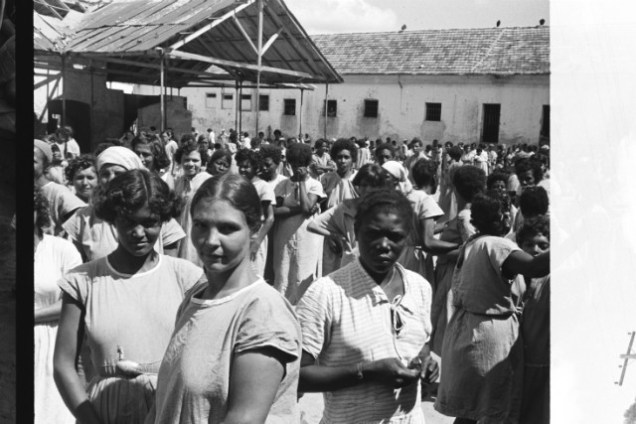 116827-1413273068071